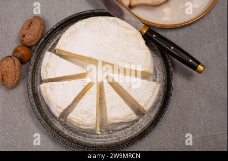 Formaggio Camembert morbido francese, originale Camembert de Normandie con muffa bianca Foto Stock