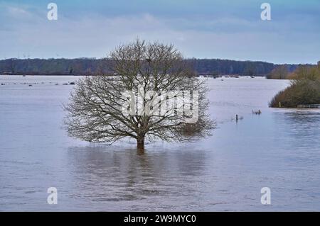 Hochwasser und Überschwemmungen der Aller in der Region Heidekreis nach tagelangen starken Regenfällen. Hodenhagen, 28.12.2023 *** acque elevate e inondazioni dell'Aller nella regione di Heidekreis dopo giorni di forti piogge Hodenhagen, 28 12 2023 foto:Xu.xStammx/xFuturexImagex hochwasser aller 3317 Foto Stock