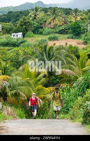 Una donna e la sua guida camminano nel segmento 3 del Waitukubuli National Trail sull'isola caraibica di Dominica. Foto Stock