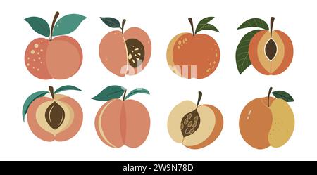 Set vettoriale di frutti di pesca astratti disegnati a mano. Illustrazione Vettoriale