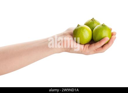 limes nel percorso della mano isolato su bianco Foto Stock