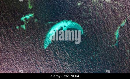 Sicilia 2023. Vista aerea del mare vicino a Scopello. L'acqua è cristallina e si nota l'alternanza di sabbia e pietre. Luglio 2023 Trapani, IT Foto Stock