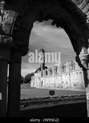 Fotografia di © Jamie Callister. St Andrews, Fife, Scozia orientale, 10 novembre 2023 Foto Stock