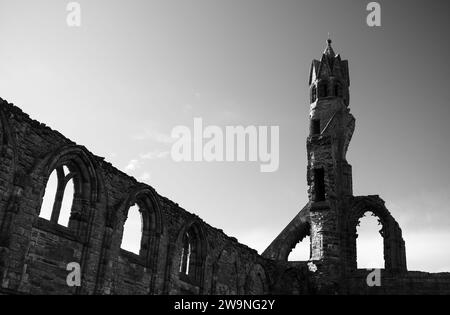 Fotografia di © Jamie Callister. St Andrews, Fife, Scozia orientale, 10 novembre 2023 Foto Stock