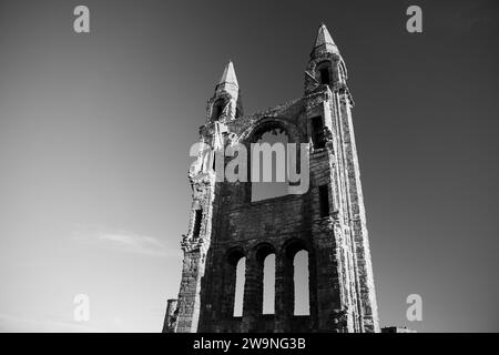 Fotografia di © Jamie Callister. St Andrews, Fife, Scozia orientale, 10 novembre 2023 Foto Stock