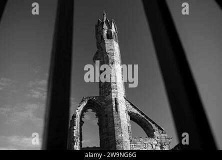 Fotografia di © Jamie Callister. St Andrews, Fife, Scozia orientale, 10 novembre 2023 Foto Stock