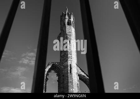 Fotografia di © Jamie Callister. St Andrews, Fife, Scozia orientale, 10 novembre 2023 Foto Stock