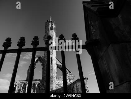 Fotografia di © Jamie Callister. St Andrews, Fife, Scozia orientale, 10 novembre 2023 Foto Stock