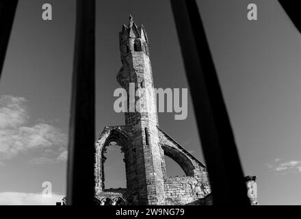 Fotografia di © Jamie Callister. St Andrews, Fife, Scozia orientale, 10 novembre 2023 Foto Stock