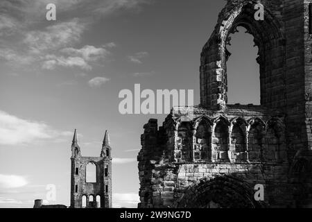 Fotografia di © Jamie Callister. St Andrews, Fife, Scozia orientale, 10 novembre 2023 Foto Stock