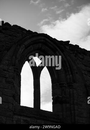 Fotografia di © Jamie Callister. St Andrews, Fife, Scozia orientale, 10 novembre 2023 Foto Stock