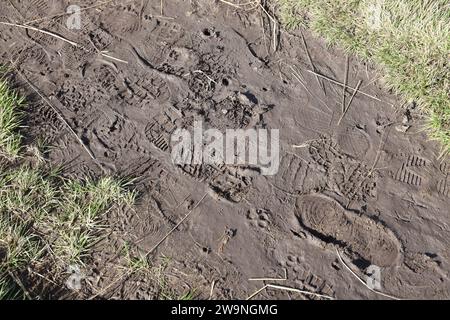 Segnare i piedi sul sentiero della giungla. Stampe di scarpe su ghiaia bagnata o fango nelle zone di montagna all'aperto Foto Stock