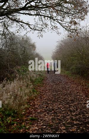 Un paio di passeggiate lungo il sentiero pubblico di Arden Way nel Warwickshire in una fredda giornata invernale. Foto Stock