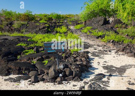 Sentiero storico nazionale di ala Kahakai, Puuhonua o Honaunau National Historical Park, Hawaii Foto Stock