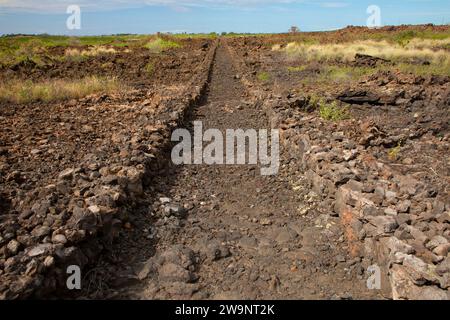 Sentiero storico nazionale di ala Kahakai, parco storico nazionale di Kaloko-Honokohau, Hawaii Foto Stock