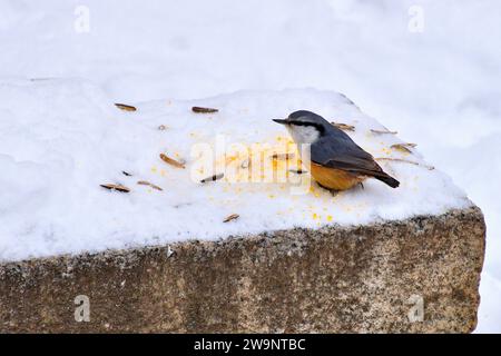 Due settimane a Jilin City, in Cina Foto Stock