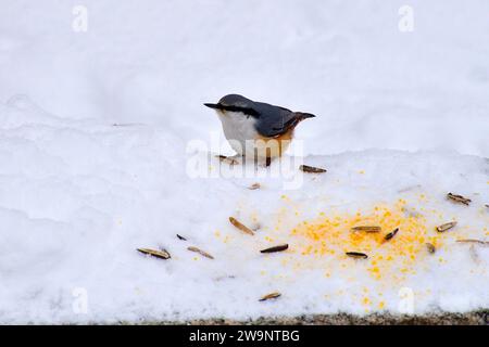 Due settimane a Jilin City, in Cina Foto Stock