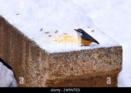 Due settimane a Jilin City, in Cina Foto Stock