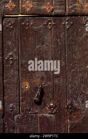 Porta in legno scuro decorata con borchie in ferro e battito d'epoca a forma di mano. Foto Stock