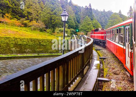 Treno rosso d'epoca che passa dalla foresta verde dell'area forestale nazionale di Alishan a Chiayi, Taiwan Foto Stock