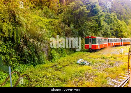 Treno rosso d'epoca che passa dalla foresta verde dell'area forestale nazionale di Alishan a Chiayi, Taiwan Foto Stock