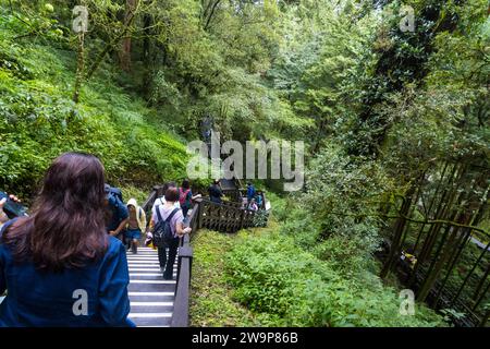 Alishan, Taiwan - 8 ottobre 2023: Attrazioni dell'area ricreativa forestale nazionale di Alishan a Chiyahi, Taiwan Foto Stock