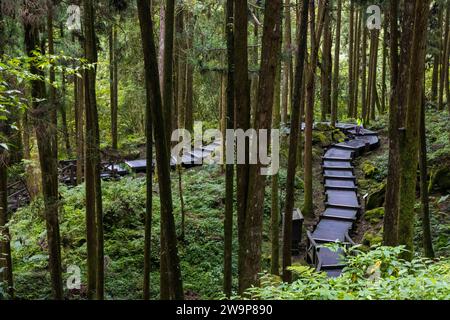 Alishan, Taiwan - 8 ottobre 2023: Attrazioni dell'area ricreativa forestale nazionale di Alishan a Chiyahi, Taiwan Foto Stock