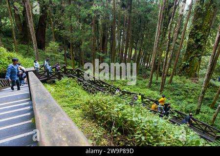 Alishan, Taiwan - 8 ottobre 2023: Attrazioni dell'area ricreativa forestale nazionale di Alishan a Chiyahi, Taiwan Foto Stock