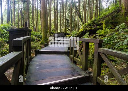 Alishan, Taiwan - 8 ottobre 2023: Attrazioni dell'area ricreativa forestale nazionale di Alishan a Chiyahi, Taiwan Foto Stock