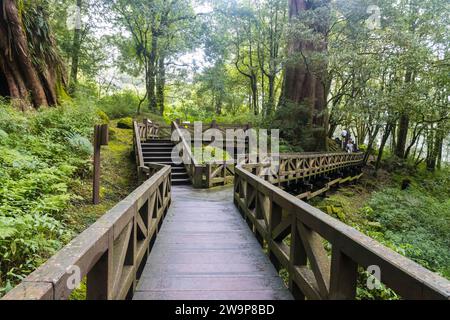 Alishan, Taiwan - 8 ottobre 2023: Attrazioni dell'area ricreativa forestale nazionale di Alishan a Chiyahi, Taiwan Foto Stock