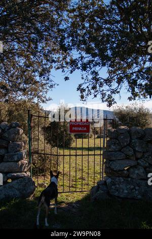 Traduzione: Proprietà privata. Cancello della barra di ferro su una recinzione in pietra a secco che dà accesso a un pascolo privato Foto Stock