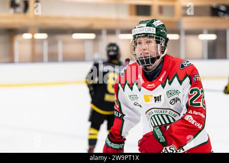 Stoccolma, Stoccolma, Svezia. 29 dicembre 2023. Frolunda 22 Andrea Dalen durante la partita in SDHL tra AIK e Frolunda HC su Ulriksdala IP il 29 dicembre a Stoccolma (Credit Image: © Johan Dali/ZUMA Press Wire) SOLO PER USO EDITORIALE! Non per USO commerciale! Crediti: ZUMA Press, Inc./Alamy Live News Foto Stock