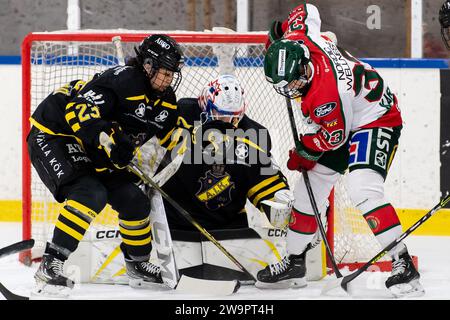 Stoccolma, Stoccolma, Svezia. 29 dicembre 2023. AIKs 23 Fumika Sasano, portiere 30 Blanka Skodova, Frolundas 33 Michelle Karvinen durante la partita in SDHL tra AIK e Frolunda HC su Ulriksdala IP il 29 dicembre a Stoccolma (Credit Image: © Johan Dali/ZUMA Press Wire) SOLO USO EDITORIALE! Non per USO commerciale! Crediti: ZUMA Press, Inc./Alamy Live News Foto Stock