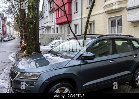 NRW, Germania, danni provocati da una tempesta, un ramo lungo 4 metri è stato interrotto dalla tempesta durante la tempesta Zoltan e si è frantumato attraverso il parabrezza di un velo parcheggiato Foto Stock