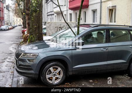 NRW, Germania, danni provocati da una tempesta, un ramo lungo 4 metri è stato interrotto dalla tempesta durante la tempesta Zoltan e si è frantumato attraverso il parabrezza di un velo parcheggiato Foto Stock