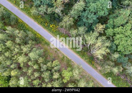 Veduta aerea dei ciclisti sul Wall Trail a Berlino Marienfelde. Il Wall Trail segna il corso delle ex fortificazioni di confine della DDR verso ovest Foto Stock