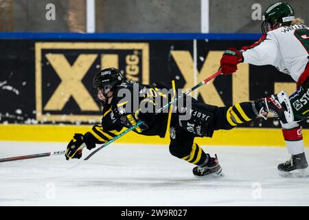 Stoccolma, Stoccolma, Svezia. 29 dicembre 2023. AIKs 10 Hikaru Yamashita durante la partita in SDHL tra AIK e Frolunda HC su Ulriksdala IP il 29 dicembre a Stoccolma (Credit Image: © Johan Dali/ZUMA Press Wire) SOLO PER USO EDITORIALE! Non per USO commerciale! Crediti: ZUMA Press, Inc./Alamy Live News Foto Stock