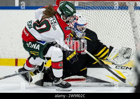 Stoccolma, Stoccolma, Svezia. 29 dicembre 2023. Frolundas 10 Emilia VESA AIKs portiere 30 Blanka Skodova durante la partita in SDHL tra AIK e Frolunda HC su Ulriksdala IP il 29 dicembre a Stoccolma (Credit Image: © Johan Dali/ZUMA Press Wire) SOLO USO EDITORIALE! Non per USO commerciale! Crediti: ZUMA Press, Inc./Alamy Live News Foto Stock