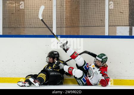 Stoccolma, Stoccolma, Svezia. 29 dicembre 2023. AIK e Frolunda durante la partita in SDHL tra AIK e Frolunda HC su Ulriksdala IP il 29 dicembre a Stoccolma (Credit Image: © Johan Dali/ZUMA Press Wire) SOLO PER USO EDITORIALE! Non per USO commerciale! Crediti: ZUMA Press, Inc./Alamy Live News Foto Stock