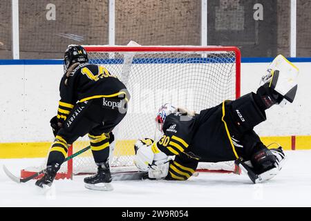 Stoccolma, Stoccolma, Svezia. 29 dicembre 2023. Il portiere AIKs Blanka Skodova durante la partita in SDHL tra AIK e Frolunda HC su Ulriksdala IP il 29 dicembre a Stoccolma (Credit Image: © Johan Dali/ZUMA Press Wire) SOLO PER USO EDITORIALE! Non per USO commerciale! Crediti: ZUMA Press, Inc./Alamy Live News Foto Stock