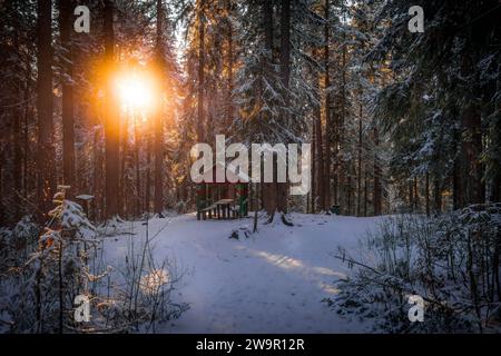 La piccola cabina nella foresta invernale con alberi di pino innevati con i colori del tramonto nella taiga siberiana a Khanty-Mansiysk, Russia. Foto Stock