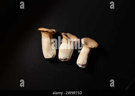 Pleurotus eryngii conosciuto anche come re tromba fungo su sfondo nero. Vista dall'alto. Foto Stock