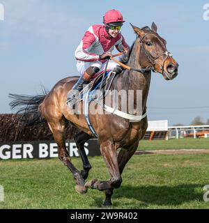 Ambion Hill, secondo classificato a Wincanton il 21 marzo 2022 Foto Stock