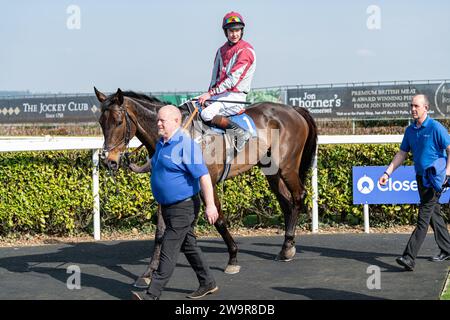 Ambion Hill sul ring dopo essere arrivato 2° a Wincanton Foto Stock