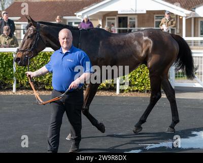 Ambion Hill sul ring dopo essere arrivato 2° a Wincanton Foto Stock