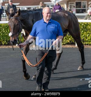 Ambion Hill sul ring dopo essere arrivato 2° a Wincanton Foto Stock