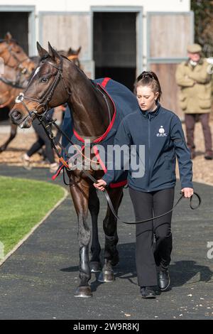 Birds of Prey che corre a Wincanton, 21 marzo 2022 Foto Stock