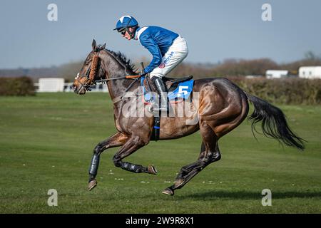 Foto del cavallo da corsa "Birds of Prey", guidato da Harry Cobden, addestrato da Paul Nicholls, all'ippodromo di Wincanton, 21 marzo 2022 Foto Stock