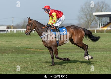 Ballyblack Racing over hurdles a Wincanton, 21 marzo 2022. Guidato da Rex Dingle e addestrato da Jeremy Scott. Foto Stock