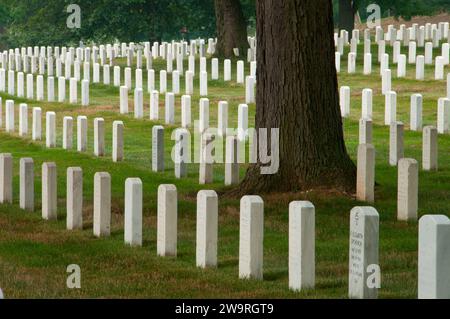 Lapidi, il Cimitero Nazionale di Arlington, Virginia Foto Stock